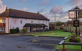 Red Lion